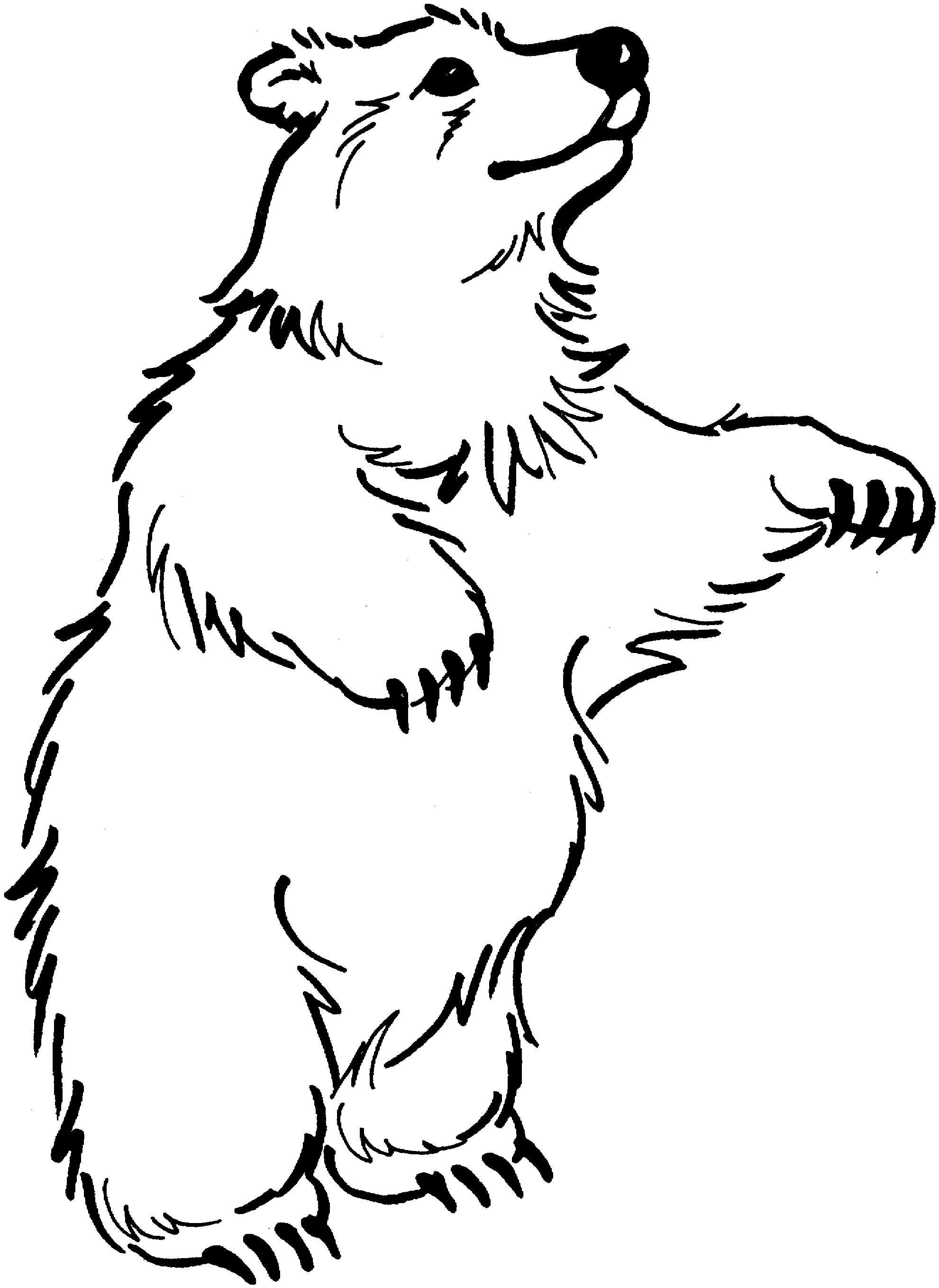 Página para colorir: Urso (animais) #12283 - Páginas para Colorir Imprimíveis Gratuitamente