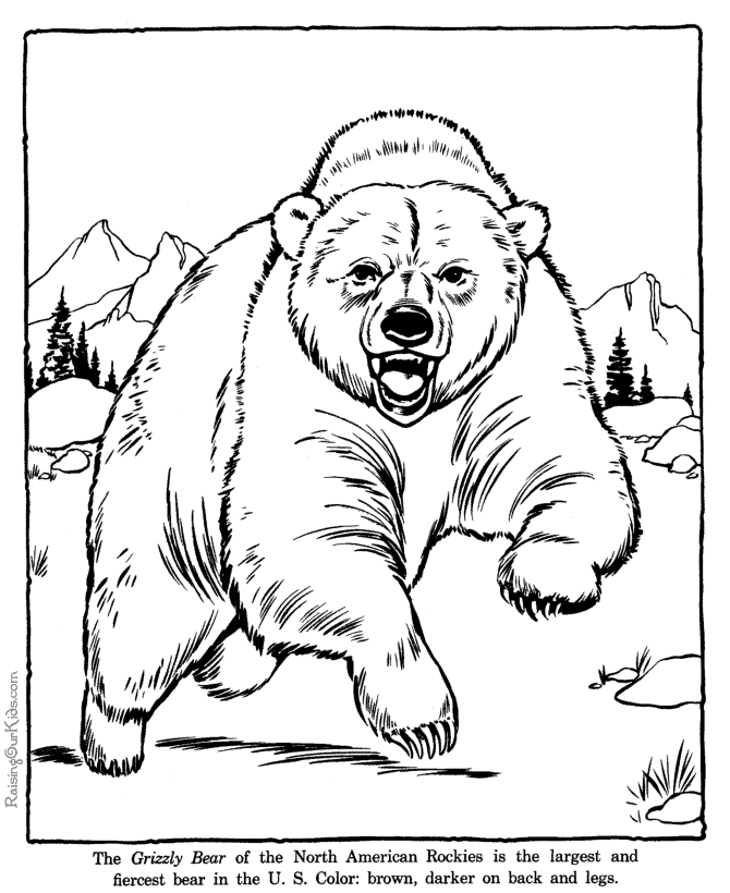 Página para colorir: Urso (animais) #12293 - Páginas para Colorir Imprimíveis Gratuitamente