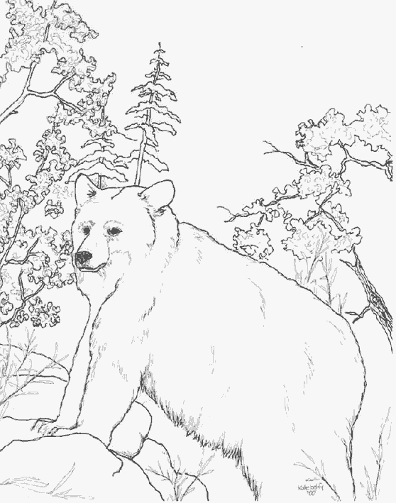 Página para colorir: Urso (animais) #12314 - Páginas para Colorir Imprimíveis Gratuitamente