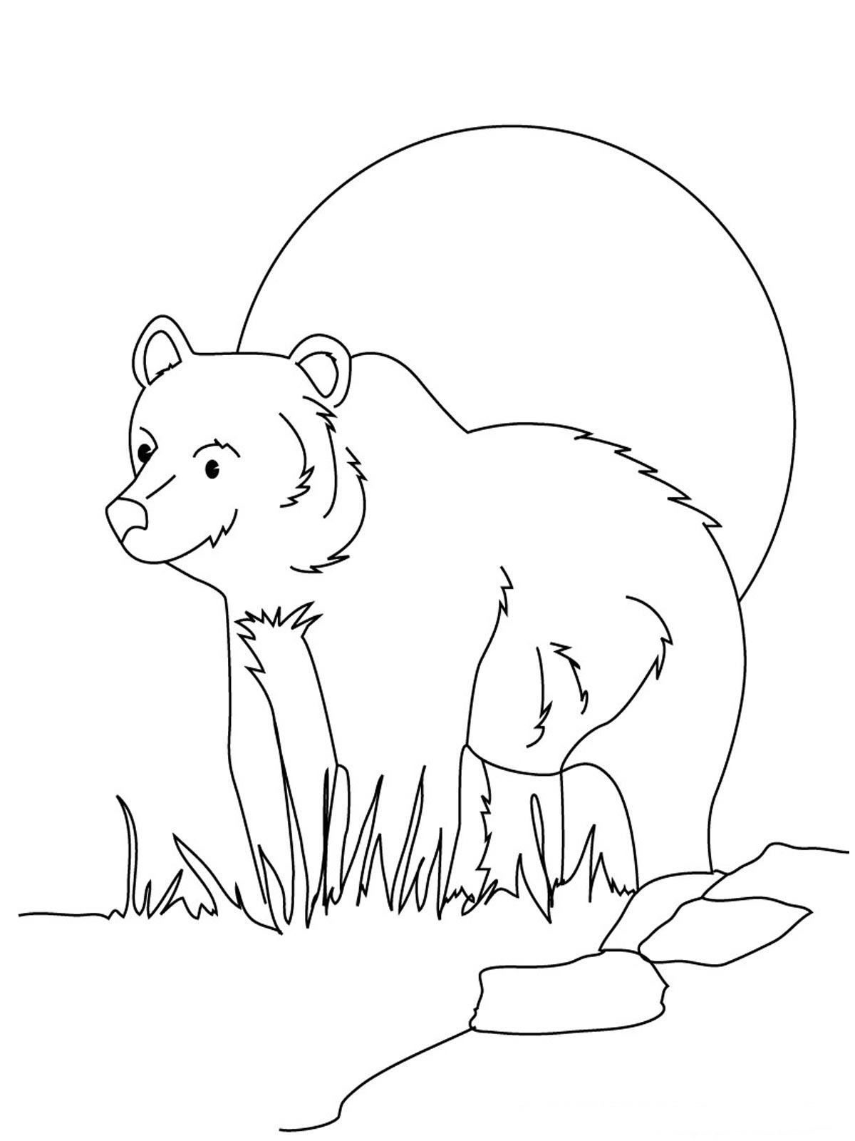Página para colorir: Urso (animais) #12317 - Páginas para Colorir Imprimíveis Gratuitamente