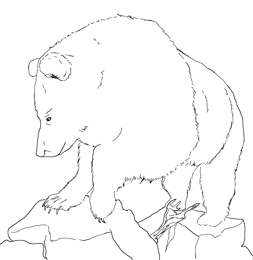 Página para colorir: Urso (animais) #12368 - Páginas para Colorir Imprimíveis Gratuitamente