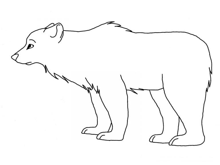 Desenho gratuito Urso Polar #201256 da colecao Animais para imprimir