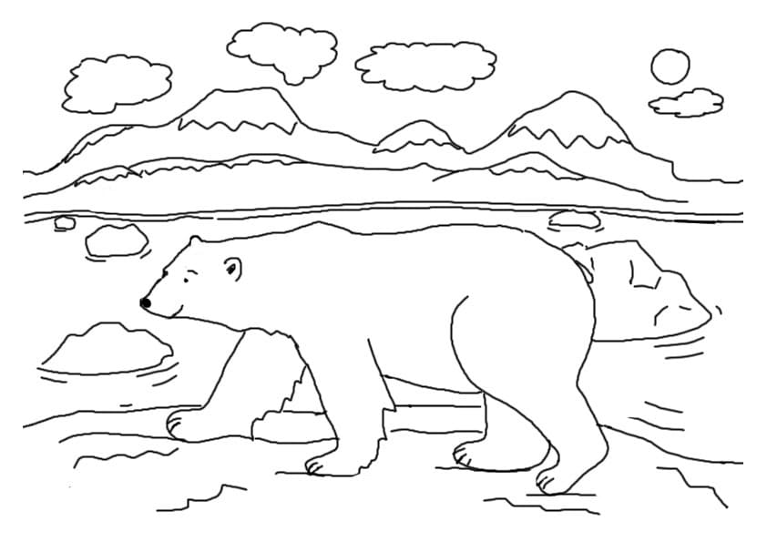 Desenho gratuito Urso Polar #201260 da colecao Animais para imprimir
