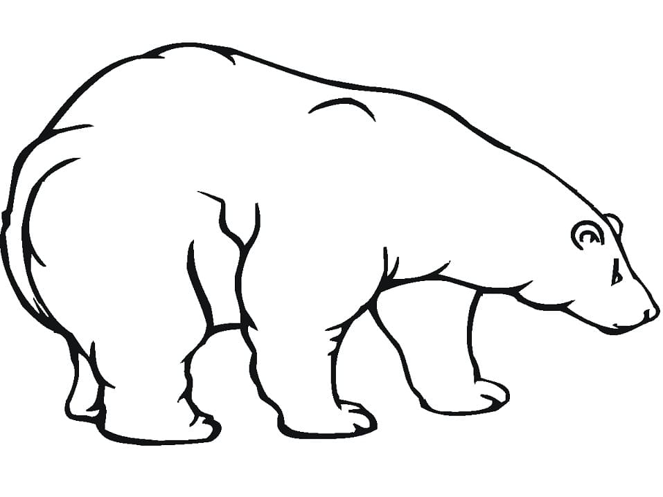 Desenho gratuito Urso Polar #201264 da colecao Animais para imprimir