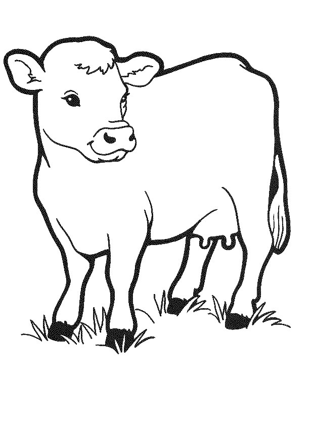 Página para colorir: Vaca (animais) #13189 - Páginas para Colorir Imprimíveis Gratuitamente