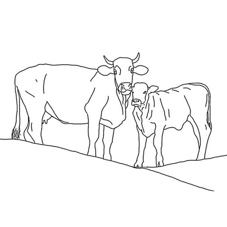 Página para colorir: Vaca (animais) #13194 - Páginas para Colorir Imprimíveis Gratuitamente