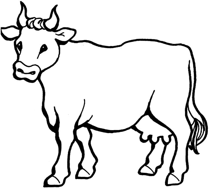 Página para colorir: Vaca (animais) #13195 - Páginas para Colorir Imprimíveis Gratuitamente