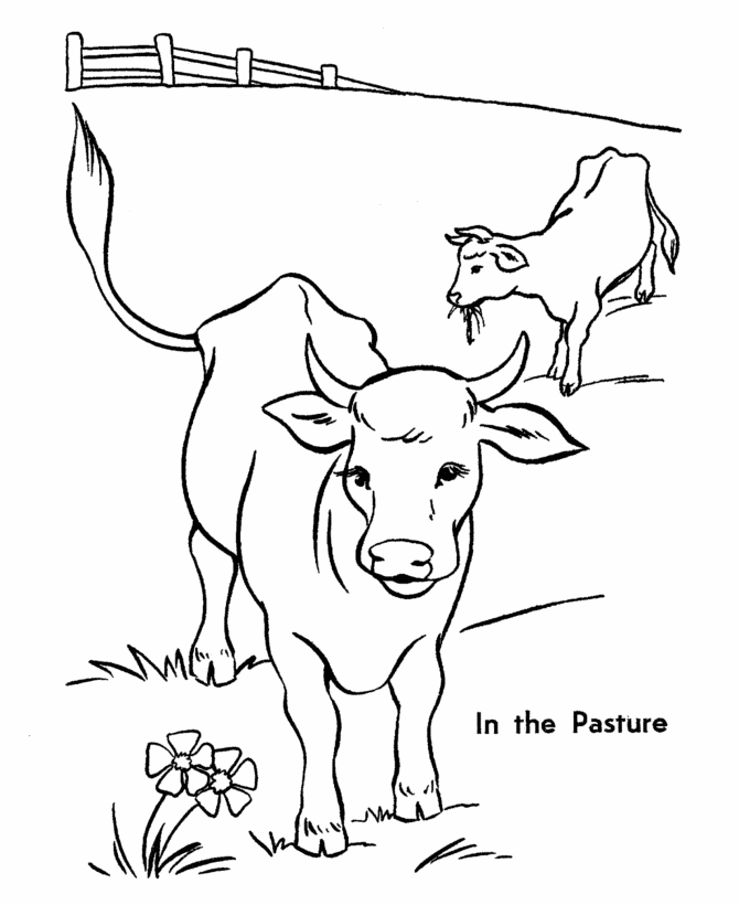 Página para colorir: Vaca (animais) #13229 - Páginas para Colorir Imprimíveis Gratuitamente