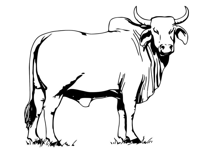 Página para colorir: Vaca (animais) #13260 - Páginas para Colorir Imprimíveis Gratuitamente