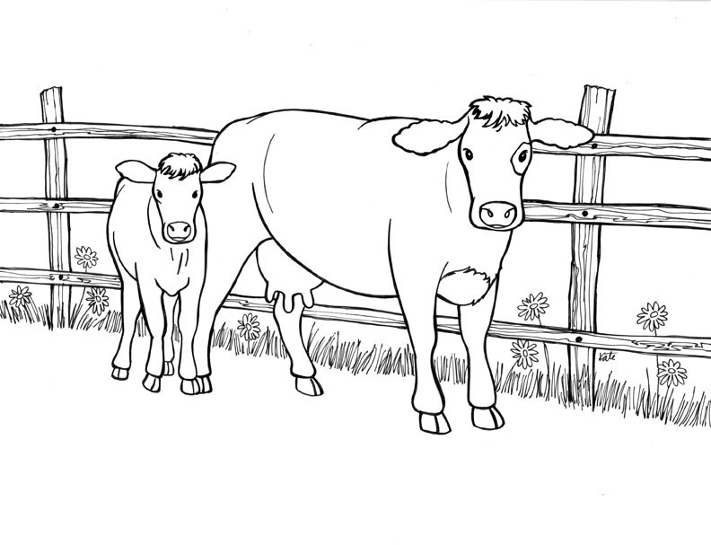 Página para colorir: Vaca (animais) #13292 - Páginas para Colorir Imprimíveis Gratuitamente