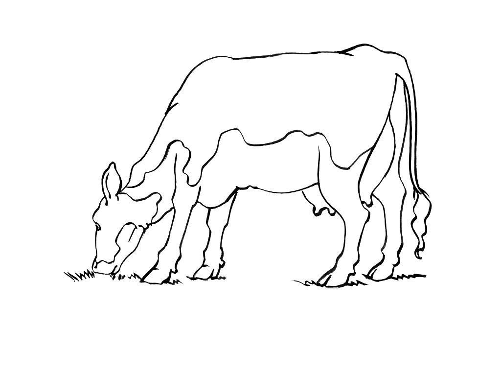 Página para colorir: Vaca (animais) #13347 - Páginas para Colorir Imprimíveis Gratuitamente