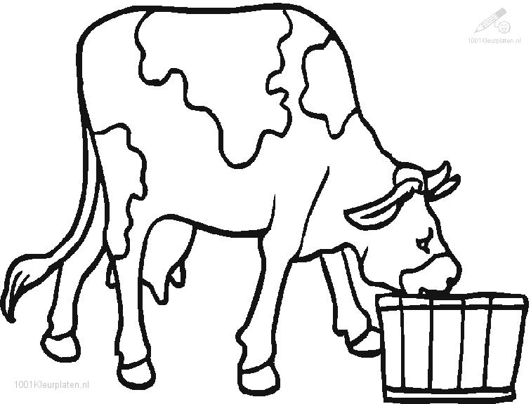 Página para colorir: Vaca (animais) #13352 - Páginas para Colorir Imprimíveis Gratuitamente
