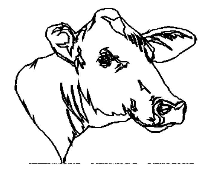 Página para colorir: Vaca (animais) #13380 - Páginas para Colorir Imprimíveis Gratuitamente