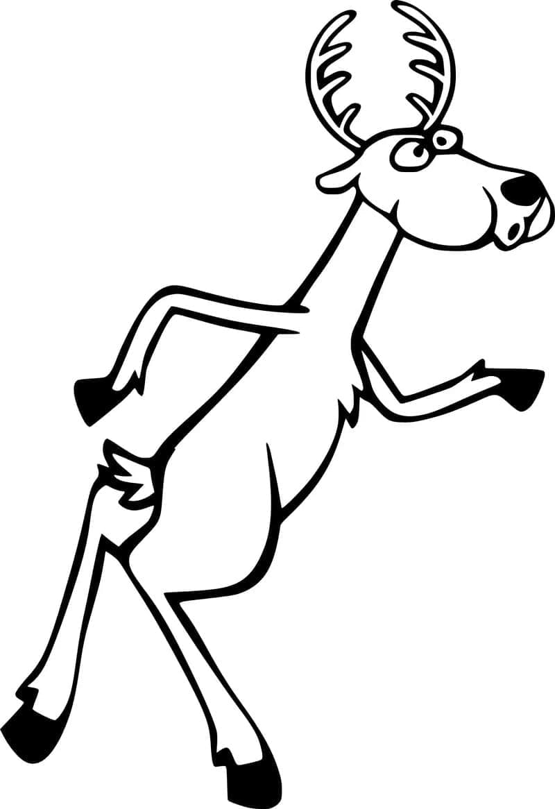 Desenho gratuito Veado #191064 da colecao Animais para imprimir Desenho gratuito Veado #191064 da colecao Animais para imprimir