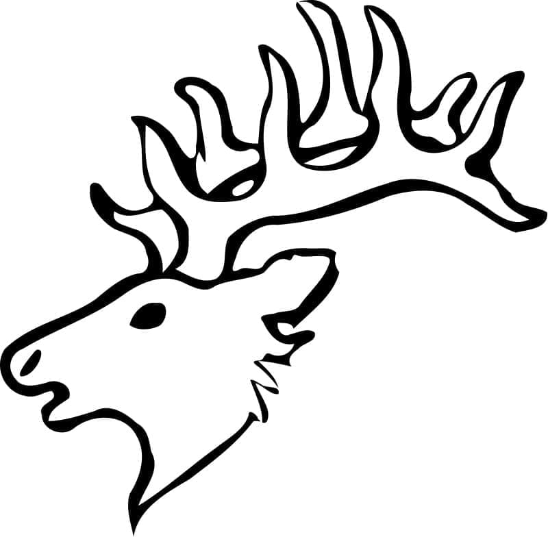 Desenho gratuito Veado #191079 da colecao Animais para imprimir