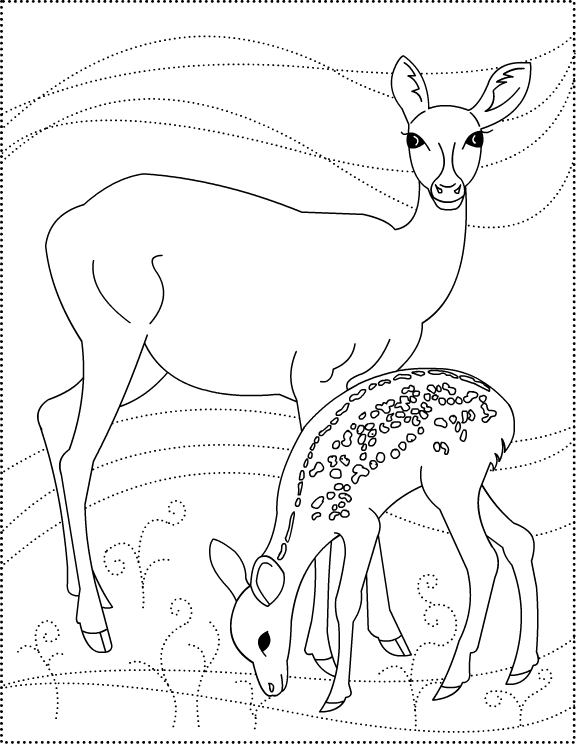 Página para colorir: veado (animais) #2601 - Páginas para Colorir Imprimíveis Gratuitamente