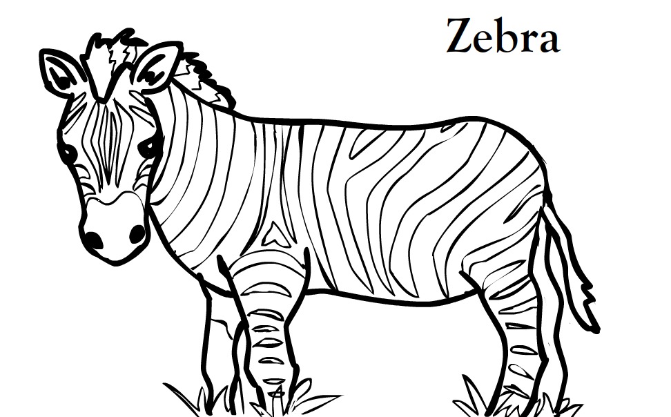 Página para colorir: Zebra (animais) #12938 - Páginas para Colorir Imprimíveis Gratuitamente