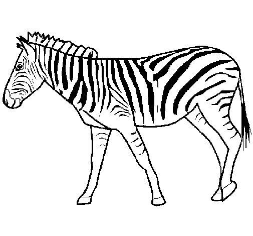 Página para colorir: Zebra (animais) #12953 - Páginas para Colorir Imprimíveis Gratuitamente