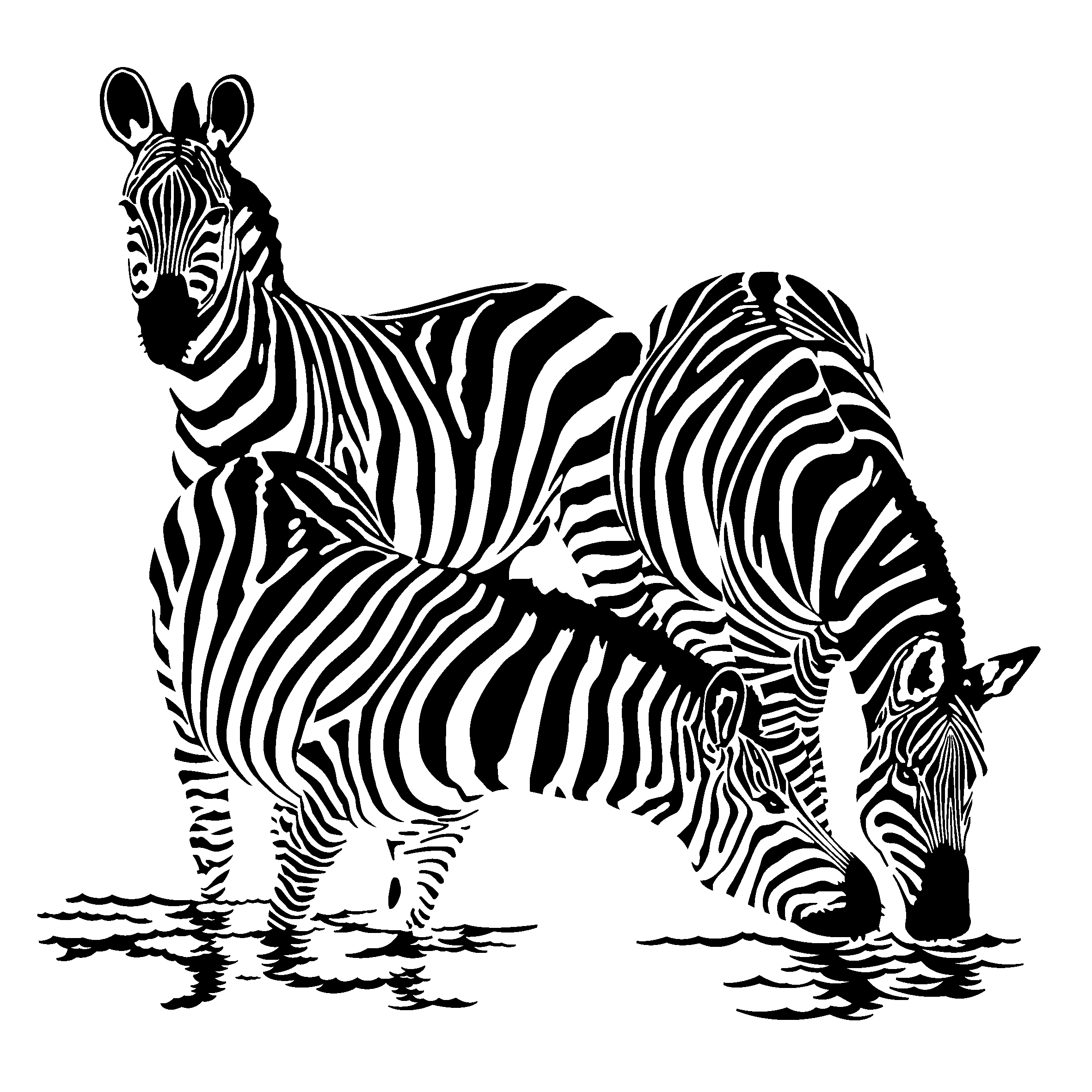 Página para colorir: Zebra (animais) #12955 - Páginas para Colorir Imprimíveis Gratuitamente