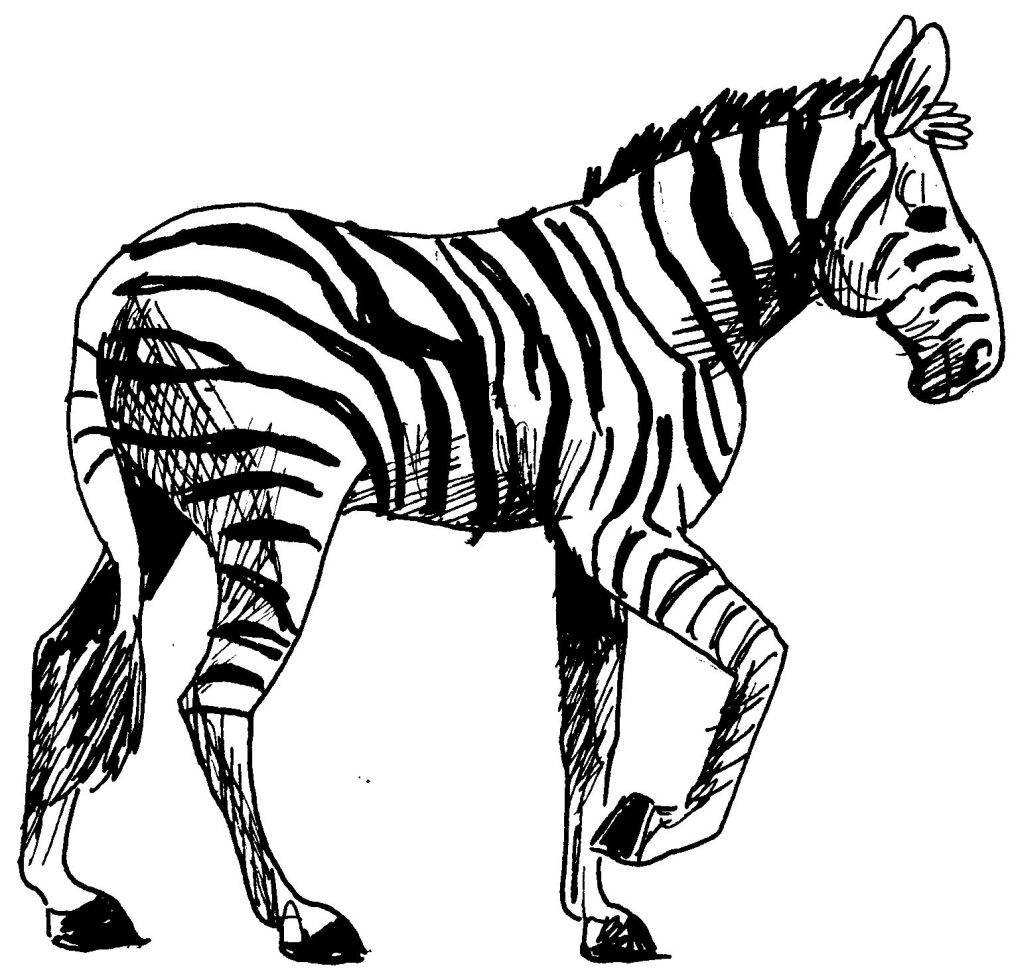 Página para colorir: Zebra (animais) #12962 - Páginas para Colorir Imprimíveis Gratuitamente