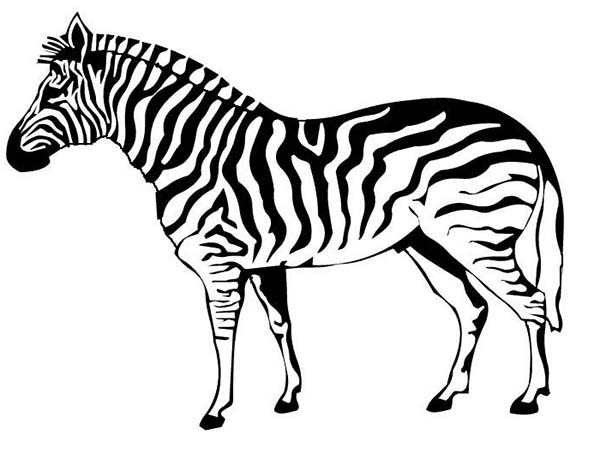 Página para colorir: Zebra (animais) #12963 - Páginas para Colorir Imprimíveis Gratuitamente
