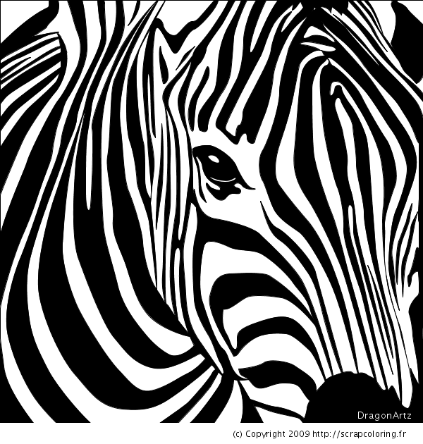 Página para colorir: Zebra (animais) #12965 - Páginas para Colorir Imprimíveis Gratuitamente