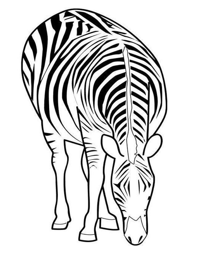 Página para colorir: Zebra (animais) #12977 - Páginas para Colorir Imprimíveis Gratuitamente