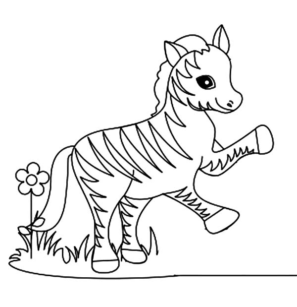 Página para colorir: Zebra (animais) #12986 - Páginas para Colorir Imprimíveis Gratuitamente