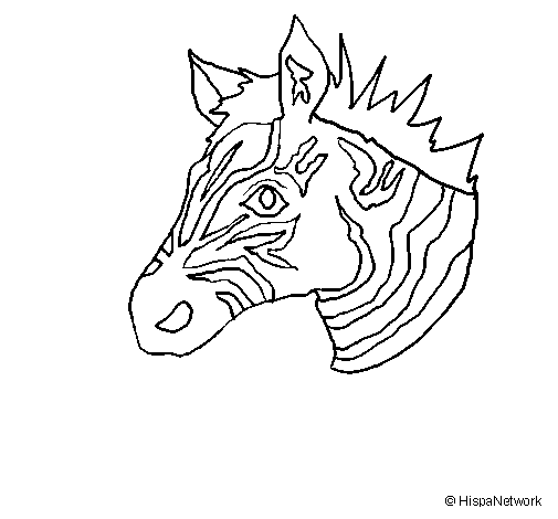 Página para colorir: Zebra (animais) #13017 - Páginas para Colorir Imprimíveis Gratuitamente