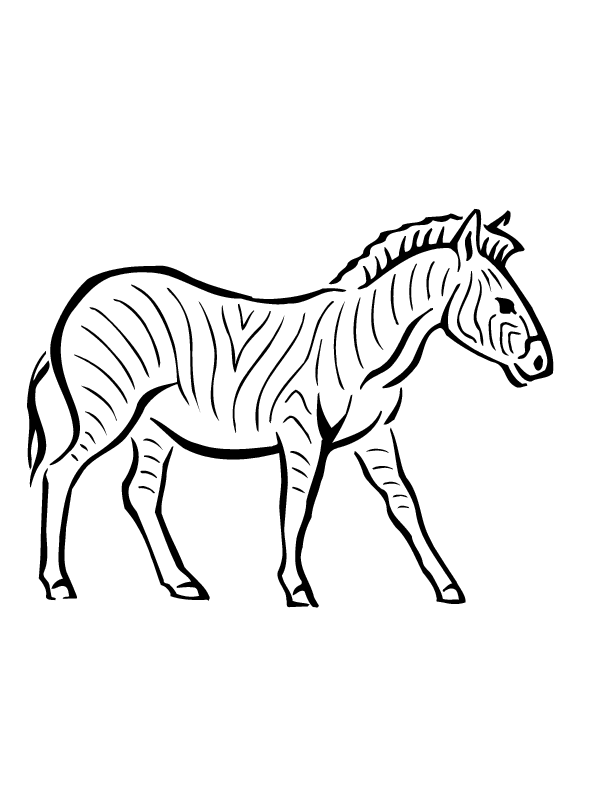 Página para colorir: Zebra (animais) #13032 - Páginas para Colorir Imprimíveis Gratuitamente