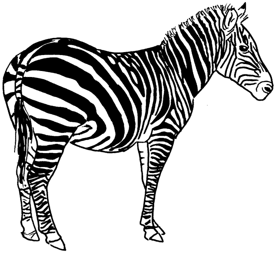 Página para colorir: Zebra (animais) #13039 - Páginas para Colorir Imprimíveis Gratuitamente