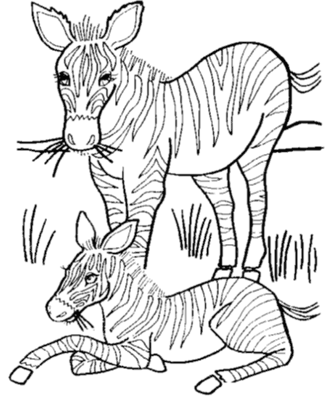 Página para colorir: Zebra (animais) #13051 - Páginas para Colorir Imprimíveis Gratuitamente