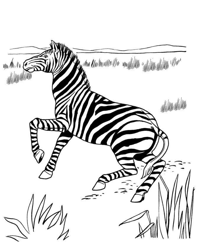 Página para colorir: Zebra (animais) #13053 - Páginas para Colorir Imprimíveis Gratuitamente