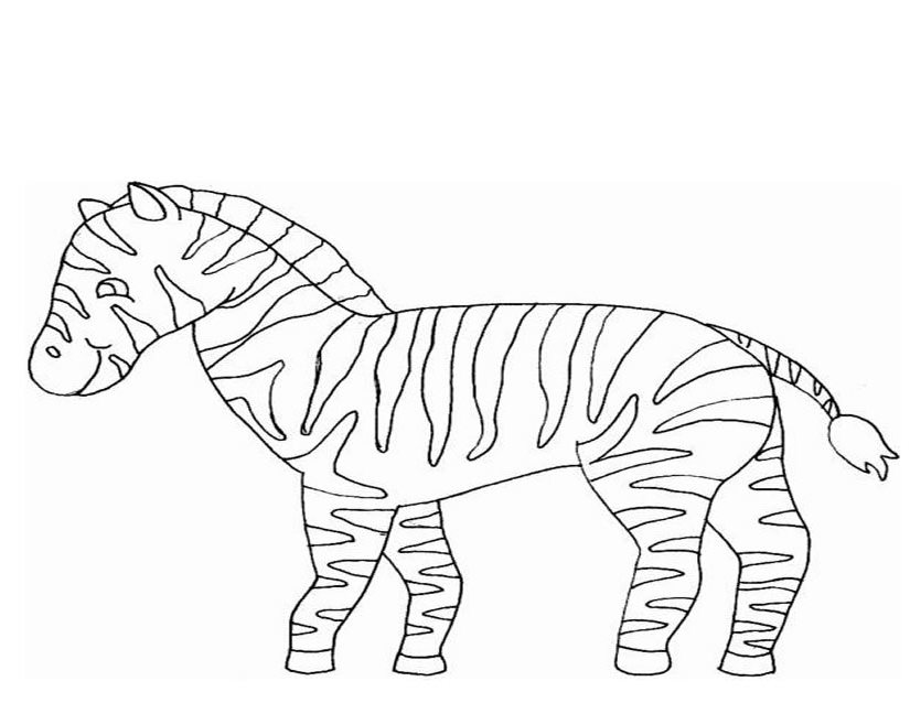 Página para colorir: Zebra (animais) #13065 - Páginas para Colorir Imprimíveis Gratuitamente
