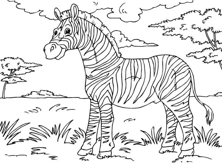 Página para colorir: Zebra (animais) #13087 - Páginas para Colorir Imprimíveis Gratuitamente