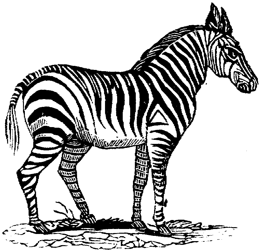 Página para colorir: Zebra (animais) #13094 - Páginas para Colorir Imprimíveis Gratuitamente