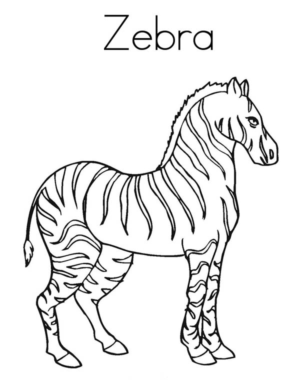 Página para colorir: Zebra (animais) #13096 - Páginas para Colorir Imprimíveis Gratuitamente