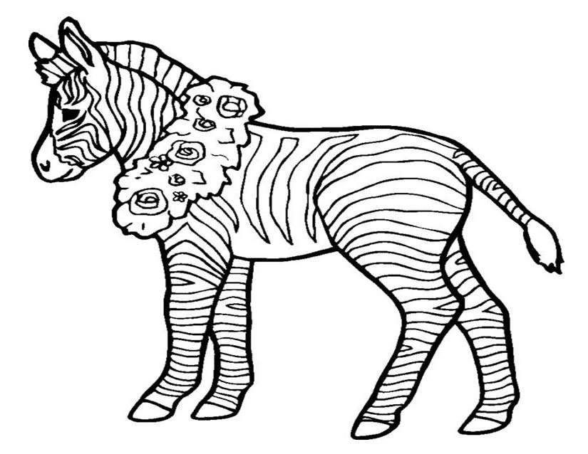 Página para colorir: Zebra (animais) #13097 - Páginas para Colorir Imprimíveis Gratuitamente