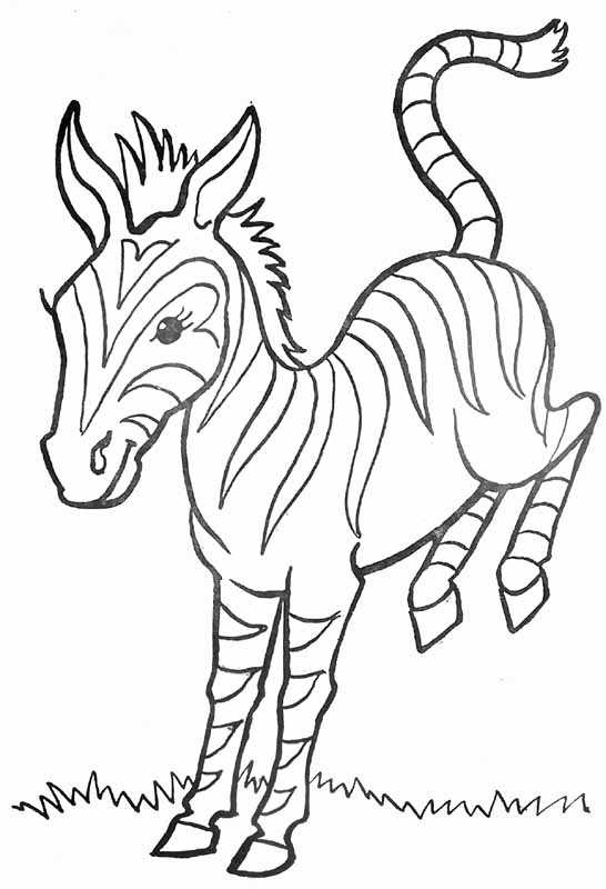 Página para colorir: Zebra (animais) #13105 - Páginas para Colorir Imprimíveis Gratuitamente