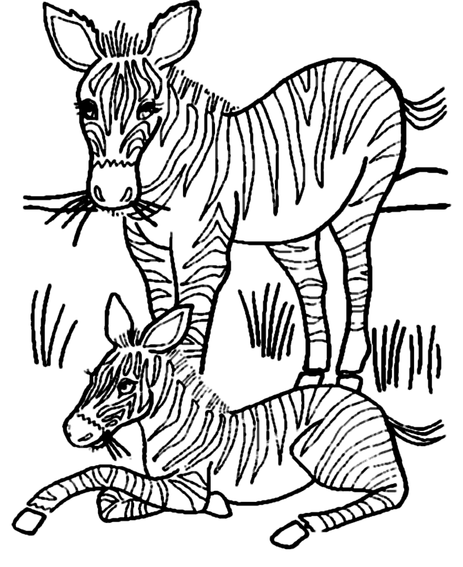 Página para colorir: Zebra (animais) #13130 - Páginas para Colorir Imprimíveis Gratuitamente