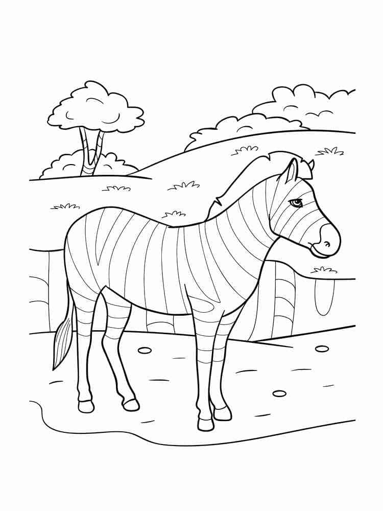 Desenho gratuito Zebra #197146 da colecao Animais para imprimir