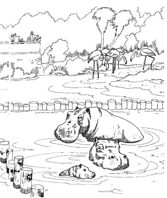 Página para colorir: Zoológico (Animais) #12664 - Páginas para Colorir Imprimíveis Gratuitamente