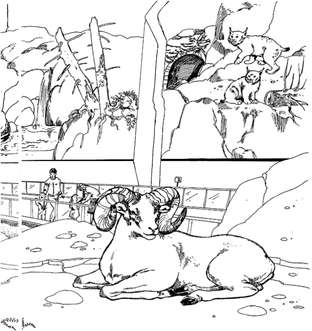 Página para colorir: Zoológico (Animais) #12678 - Páginas para Colorir Imprimíveis Gratuitamente