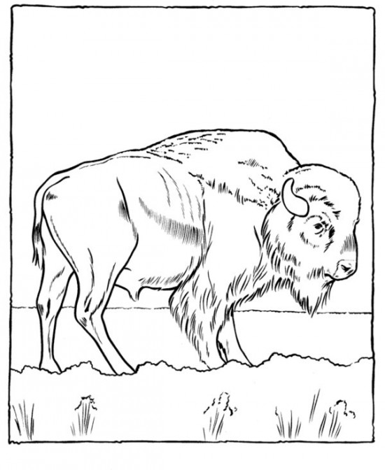 Página para colorir: Zoológico (Animais) #12685 - Páginas para Colorir Imprimíveis Gratuitamente