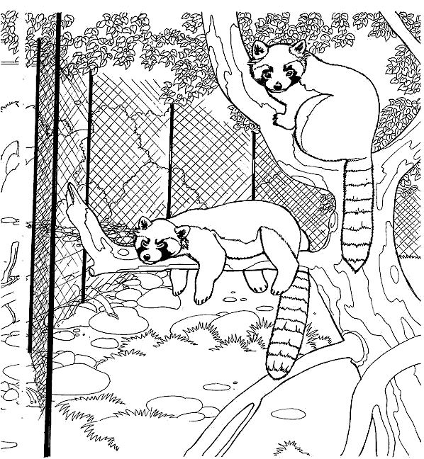 Desenho gratuito Zoológico #12702 da colecao Animais para imprimir