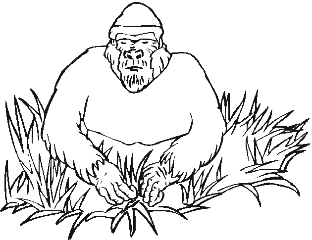 Página para colorir: Zoológico (Animais) #12769 - Páginas para Colorir Imprimíveis Gratuitamente