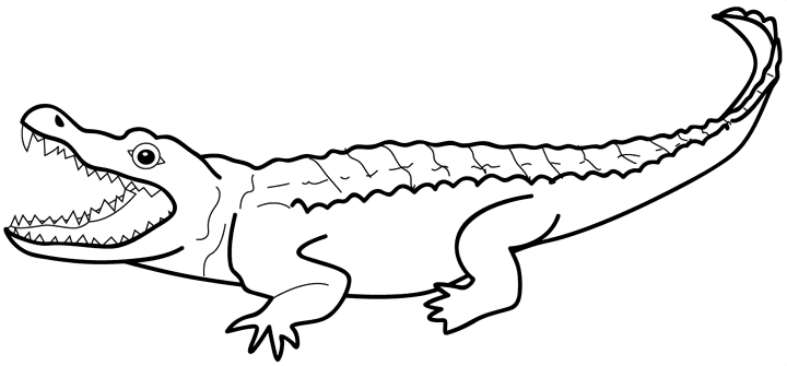Desenho gratuito Zoológico #12779 da colecao Animais para imprimir