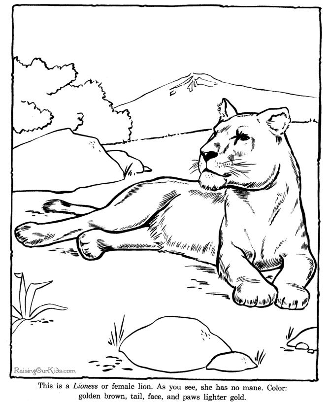 Desenho gratuito Zoológico #12795 da colecao Animais para imprimir Desenho gratuito Zoológico #12795 da colecao Animais para imprimir