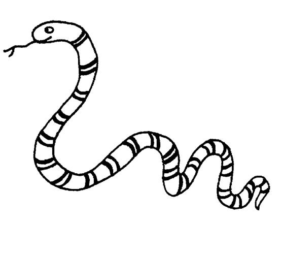 Página para colorir: Zoológico (Animais) #12809 - Páginas para Colorir Imprimíveis Gratuitamente