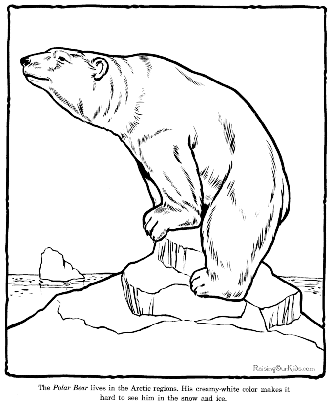 Desenho gratuito Zoológico #12821 da colecao Animais para imprimir